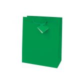 Darilna vreka MAT PLASTIFICIRANA - srednja 22,9 x 17,8 x 9,8 cm - zelena